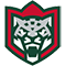 Логотип команды Ак Барс